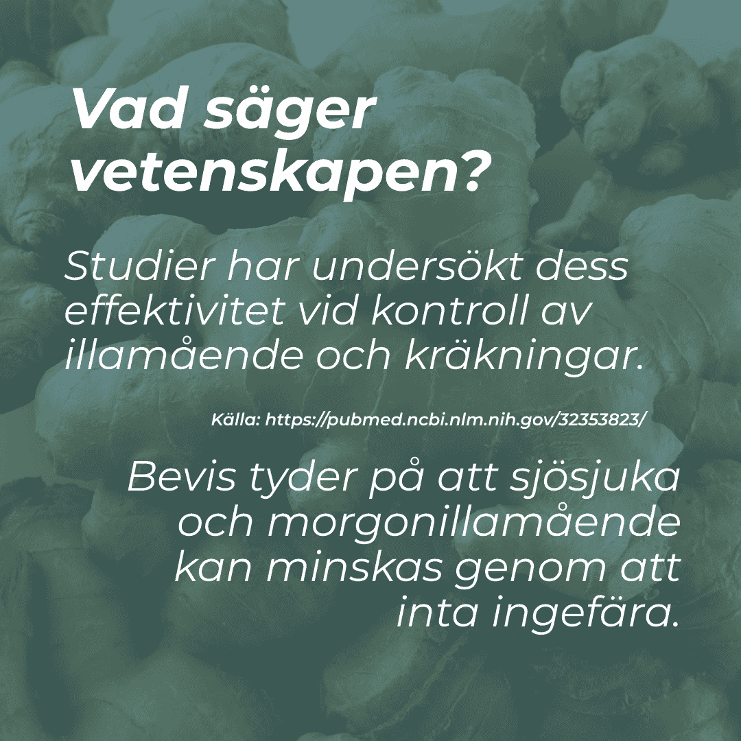 Produktbild 6